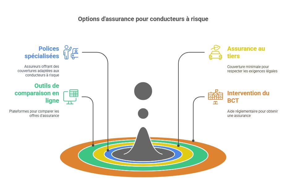 Infographie sur les options d'assurance pour les conducteurs avec un gros malus